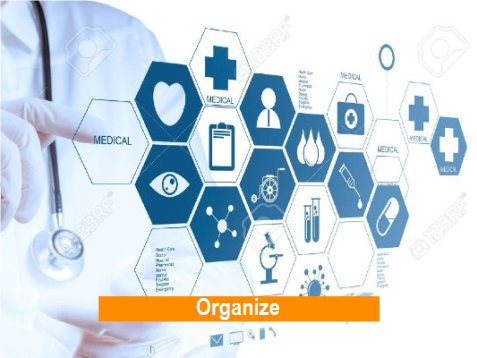Organize